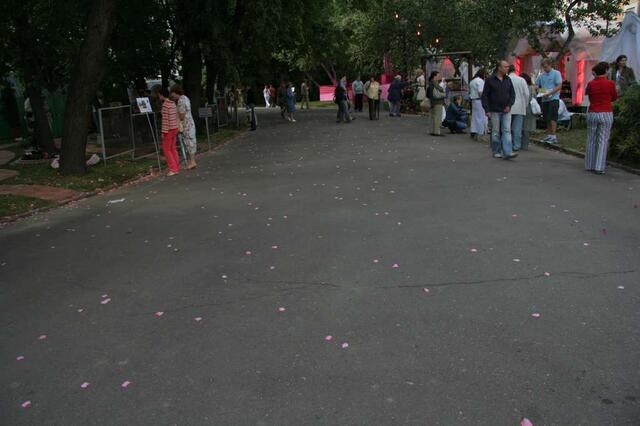 IMG_7341