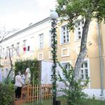 IMG_7342