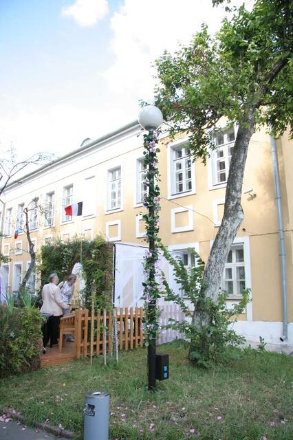 IMG_7342