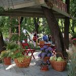 IMG_7343