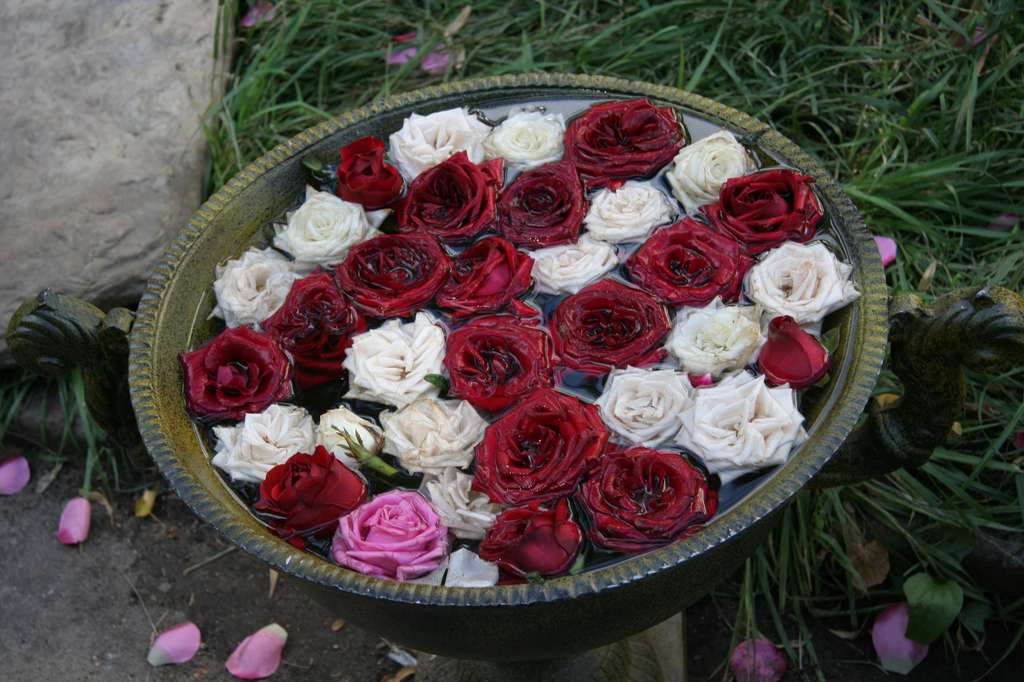 IMG_7348