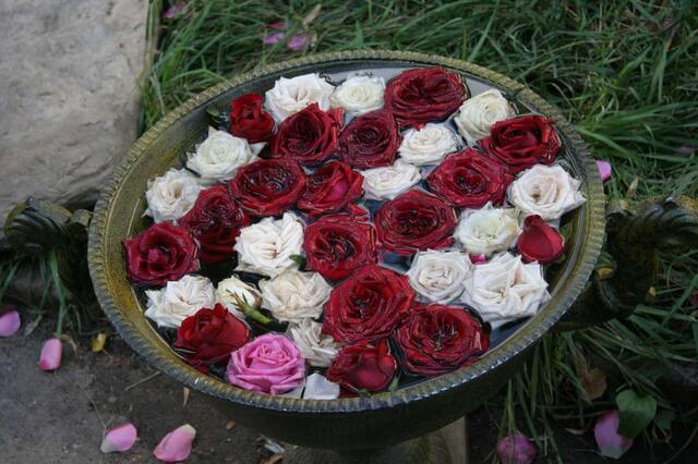 IMG_7348