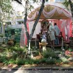 IMG_7349