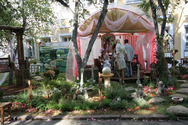IMG_7349