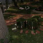 IMG_7351