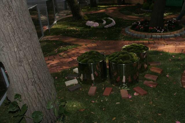 IMG_7351