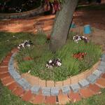 IMG_7353