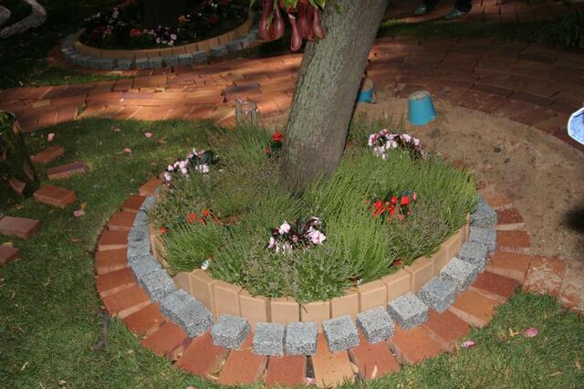 IMG_7353