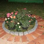IMG_7354