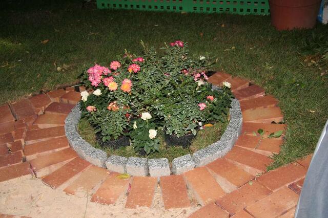 IMG_7354