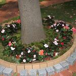 IMG_7356