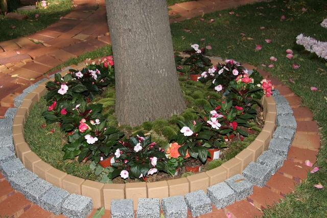 IMG_7356