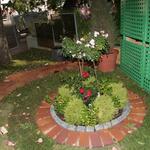 IMG_7357