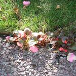 IMG_7359