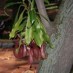 IMG_7361