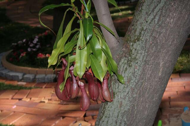 IMG_7361