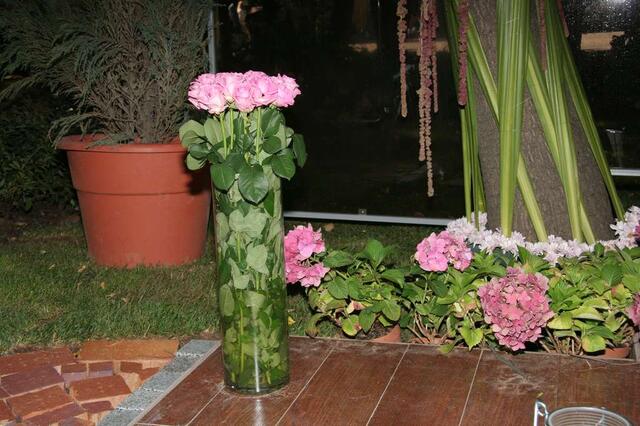 IMG_7362