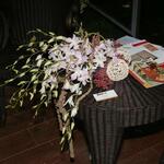 IMG_7364