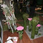IMG_7365