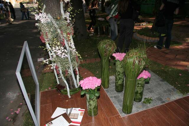 IMG_7365