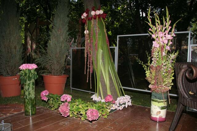 IMG_7372