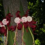 IMG_7373