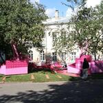 IMG_7377