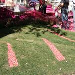 IMG_7386