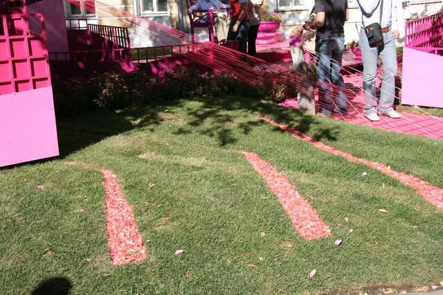 IMG_7386