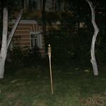 IMG_7387