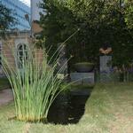 IMG_7395