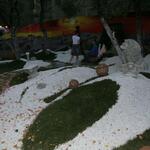 IMG_7398