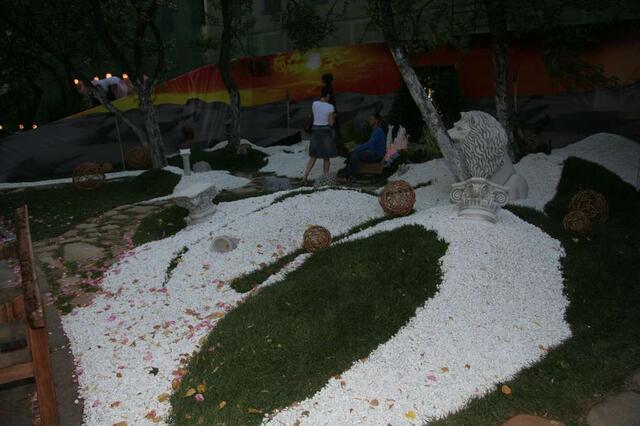 IMG_7398
