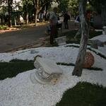 IMG_7399