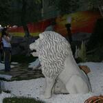 IMG_7400
