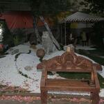 IMG_7401