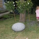IMG_7402