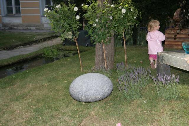 IMG_7402