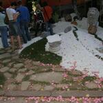IMG_7405