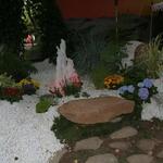 IMG_7409