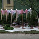 IMG_7412