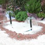 IMG_7413