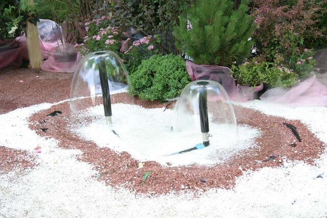 IMG_7413