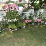 IMG_7418