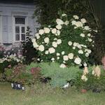 IMG_7419