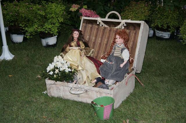 IMG_7421
