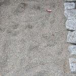 IMG_7422