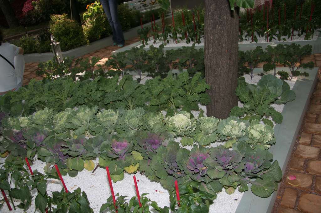 IMG_7439