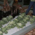 IMG_7449