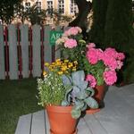 IMG_7450